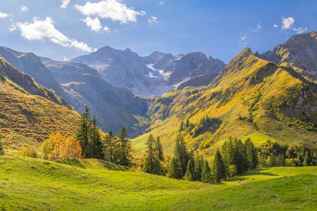 Alrededor de Schroecken en Austria