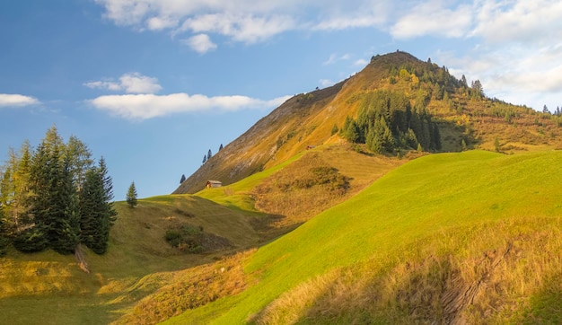 Alrededor de Warth en Austria