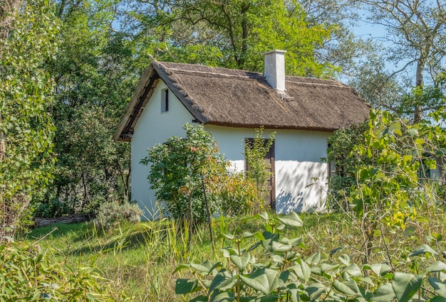 En los alrededores de Podersdorf am See