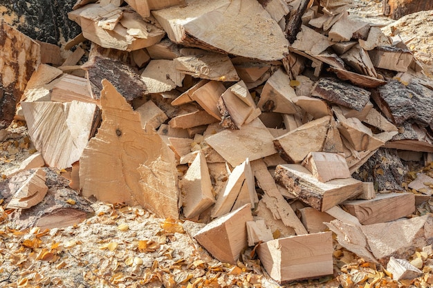 Als Brennholz werden Holzreste im Sägewerk verwendet Natürlicher Hintergrund und Textur von Kiefernholz