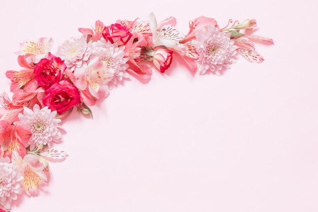 Alstroemeria und Chrysanthemenblüten auf rosa Hintergrund