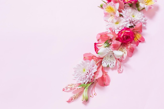 Alstroemeria und Chrysanthemenblüten auf rosa Hintergrund