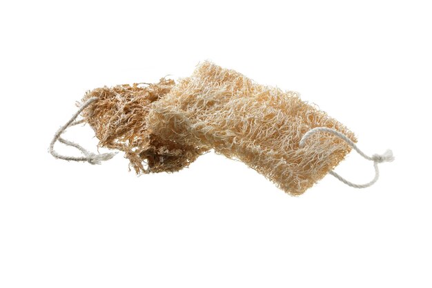 Alt und neu Naturschwamm Luffa