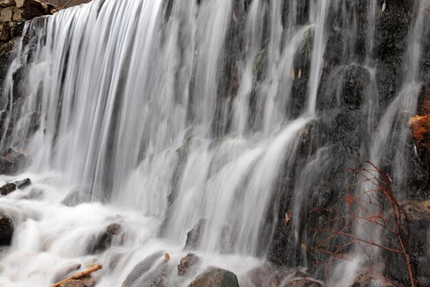 Alta cascada en la naturaleza virgen