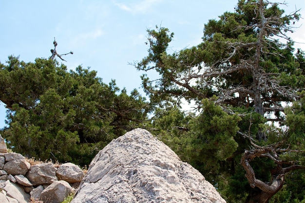 Alta montaña y rocas en Grecia Rodas