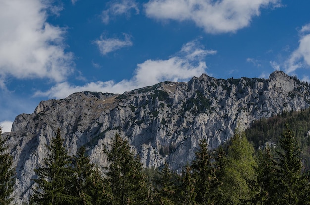 Alta montaña en verano