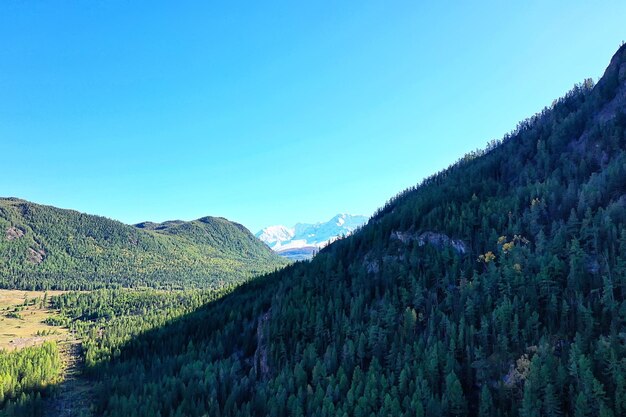 Altai-Bergpanoramablick von der Drohne, Hügelnaturansicht der russischen Landschaft