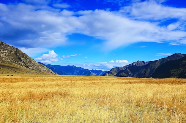 Altai-Gebirgslandschaft, Panoramaherbstlandschaftshintergrund, Fallnaturansicht