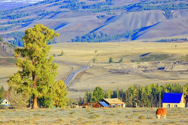 Altai montaña paisaje montañas fondo vista panorámica