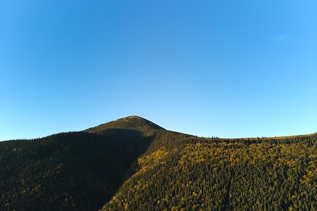 Altas colinas con bosques de pinos oscuros en un día brillante de otoño Increíble paisaje de bosques de montaña salvaje