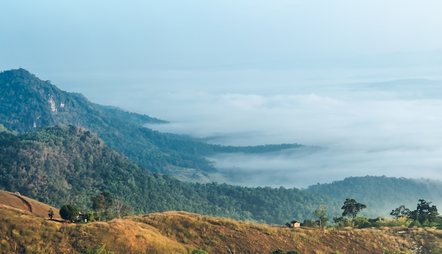 altas montañas están cubiertas de niebla blanca en la mañana