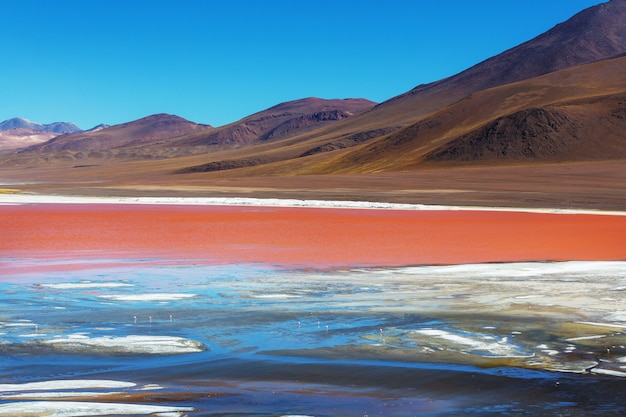 Altas montañas nevadas en Bolivia