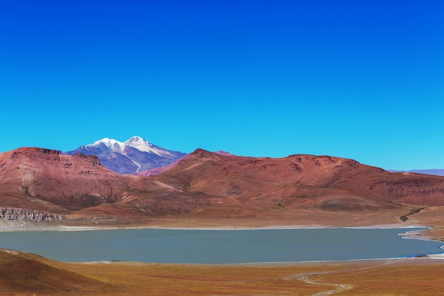 Foto altas montañas nevadas en bolivia