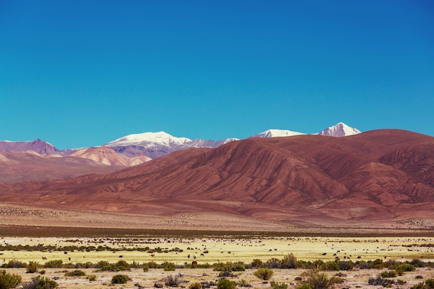 Altas montañas nevadas en Bolivia