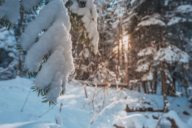 Altas montañas bajo la nieve en invierno