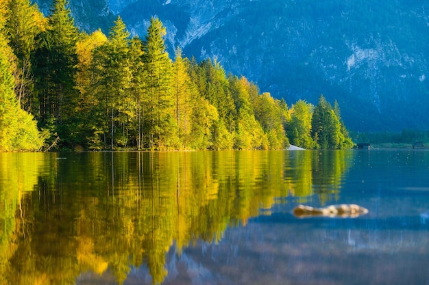 Altas montanhas e reflexo na superfície do lago A floresta perto da água Paisagem nas terras altas no verão