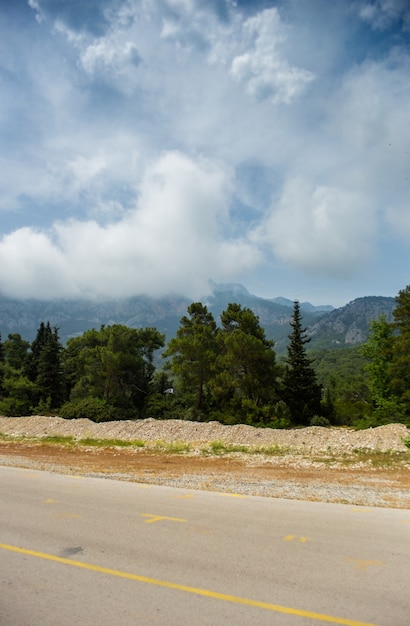 Altas montanhas e verde pinhal à tarde no verão