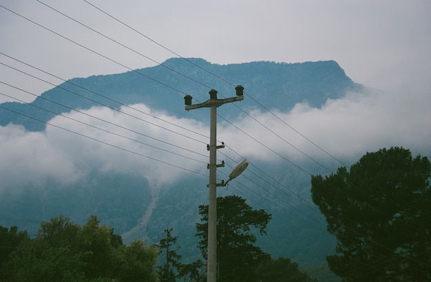 Foto altas montanhas e verde pinhal à tarde no verão