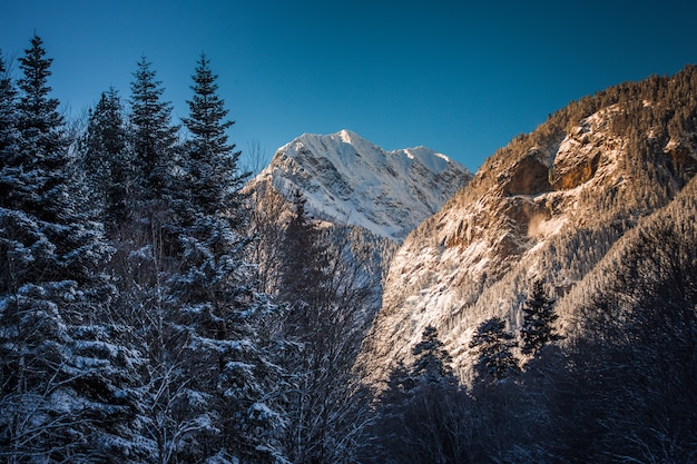 Foto altas montanhas sob a neve no inverno