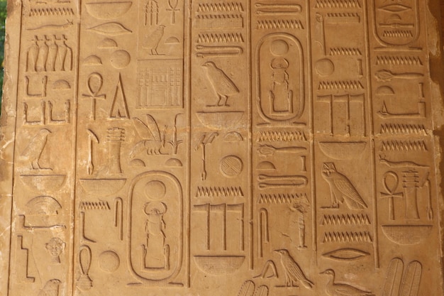 Alte ägyptische Hieroglyphen geschnitzt im Karnak-Tempel in Luxor, Ägypten