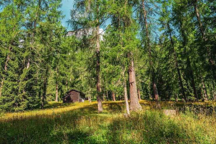 Foto alte alpenhütte in den dolomiten, italien