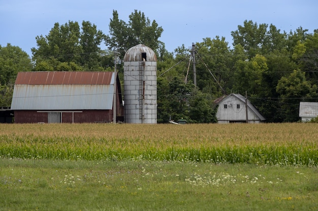 alte amerikanische Farm