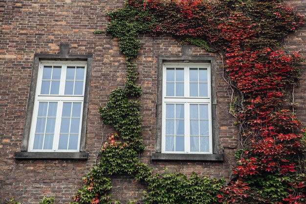 Alte Backsteingebäude in der Innenstadt von Kleinstadt-Vintage-Fenstern antik