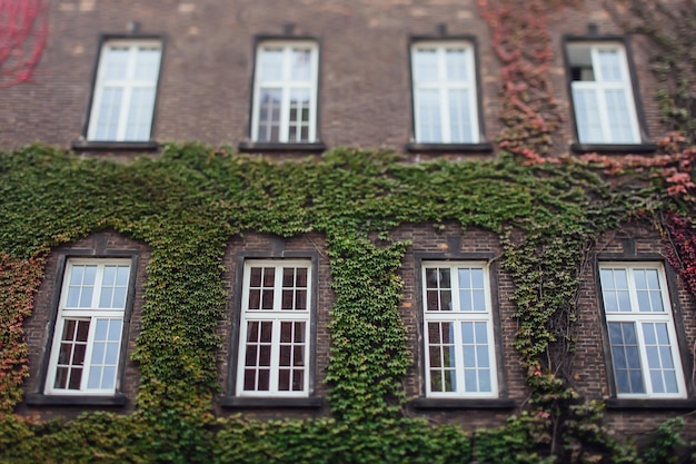 Alte Backsteingebäude in der Innenstadt von Kleinstadt-Vintage-Fenstern antik