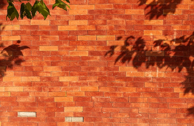 Foto alte backsteinmauer mit blattschatten