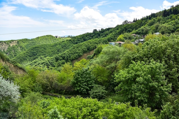 Alte Befestigungsanlagen in Sighnaghi, der Hauptstadt der Weinregion Kachetien in Georgia Caucasus Alazani Valley Georgia