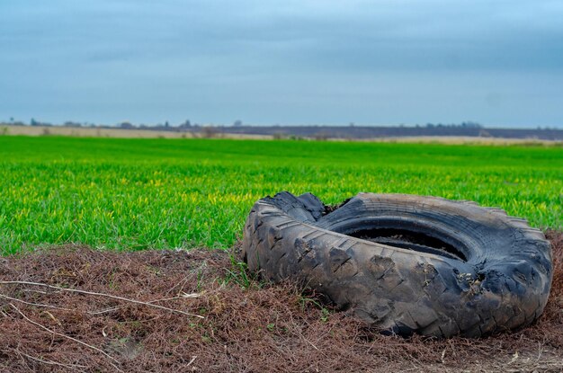 Alte beschädigte zerrissene Autoreifen liegen am Straßenrand auf dem Hintergrund des grünen Grases