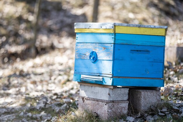 Alte Bienenstöcke im Bienenhaus im Frühjahr.