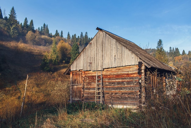 Alte Blockhütte in den Bergen im Wald.