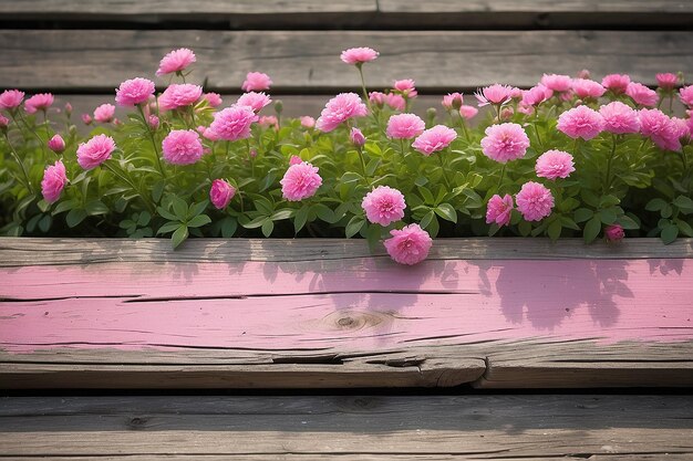 Alte braune Holzplatte mit verschwommenem rosa Blumen-Natur-Hintergrund