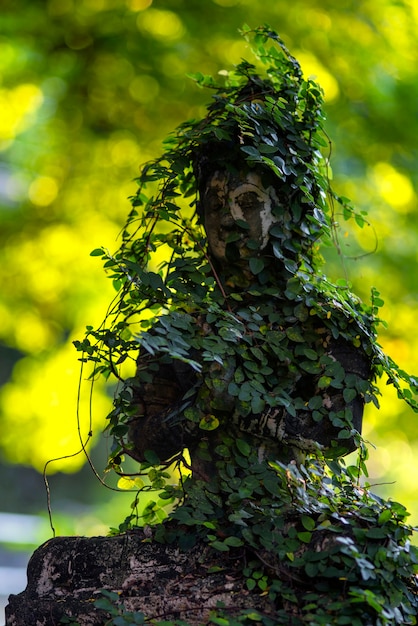 Alte Buddha-Statue im Walddeckel mit Klettergras Natur. Es ist ein wunderschönes Kunstwerk Seitenansicht