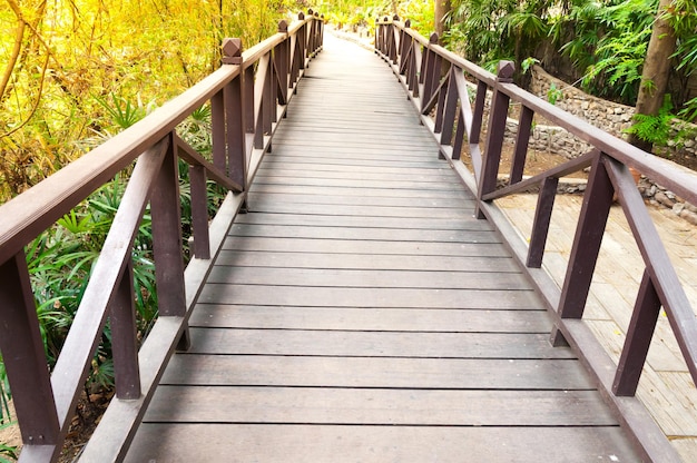 Alte charmante Holzbrücke im Park