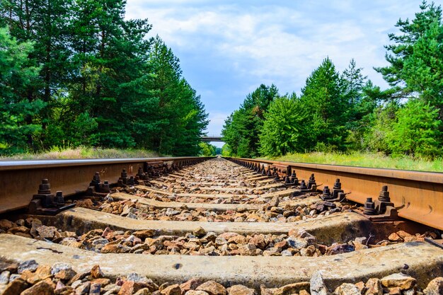 Alte Eisenbahn im Wald im Sommer