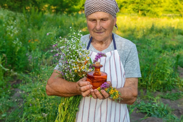 Alte Frau macht Kräutertinktur Selektiver Fokus