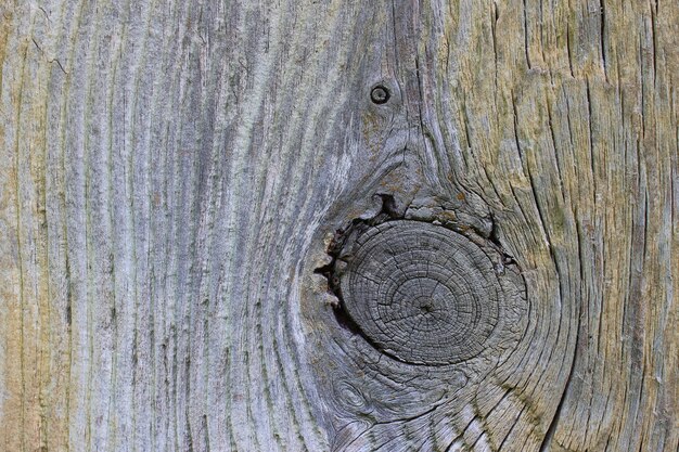 Alte graue Bretter mit Knotennahaufnahme