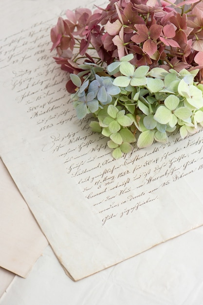 Alte Handschrift und weiche Hortensienblüten. romantischer Hintergrund im Vintage-Stil. selektiver Fokus