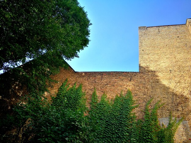 Foto alte hausmauer