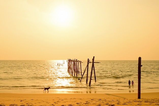 Alte hölzerne Brücke im Meer