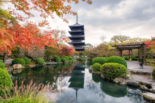 Alte hölzerne Pagode in Toji-Tempel der UNESCO-Welterbestätte im Herbstgarten in Kyoto