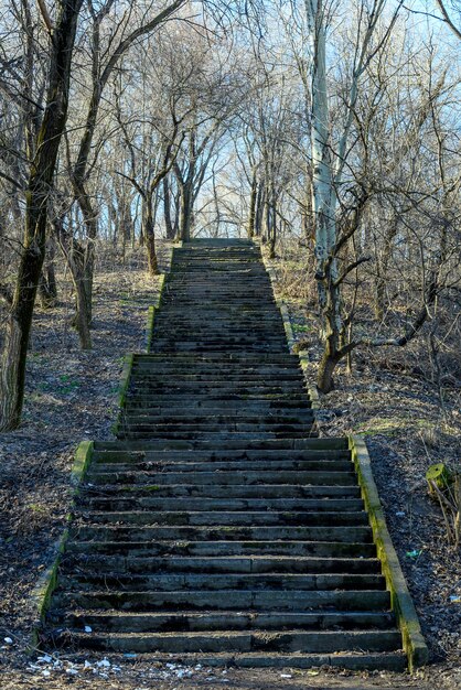 Alte hohe und kaputte Treppe aus Stein und Beton