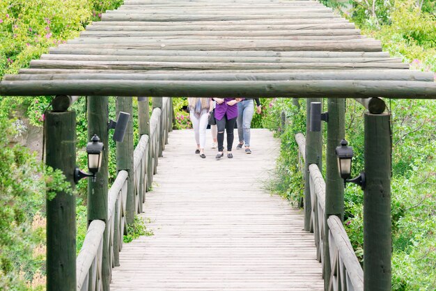Alte Holzbrücke mit Menschen, umgeben von grünen Pflanzen