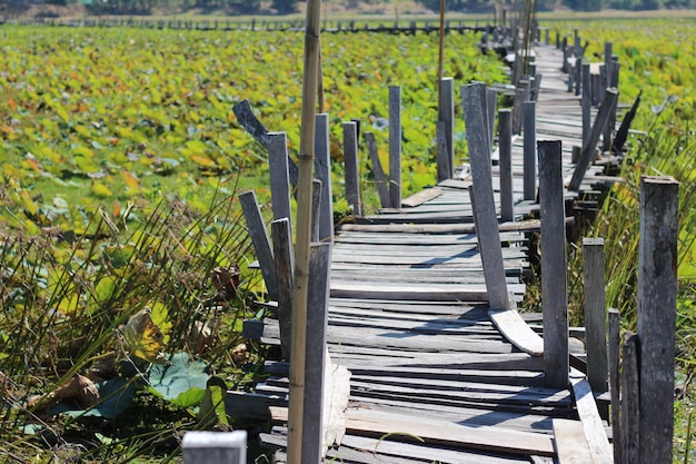 Alte Holzbrücke über Wasser