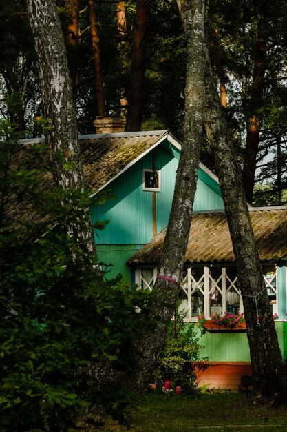 Alte Holzhäuser im Birken-Kiefernwald.