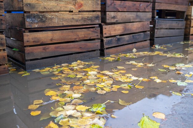 Alte Holzkisten für Obst und Gemüse stehen im Freien nass vom Regen in einer schlammigen Pfütze