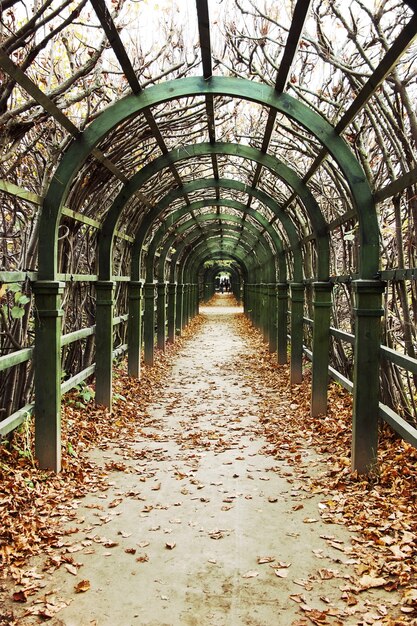 Alte Holzpergola auf dem Landgut Archangelskoye