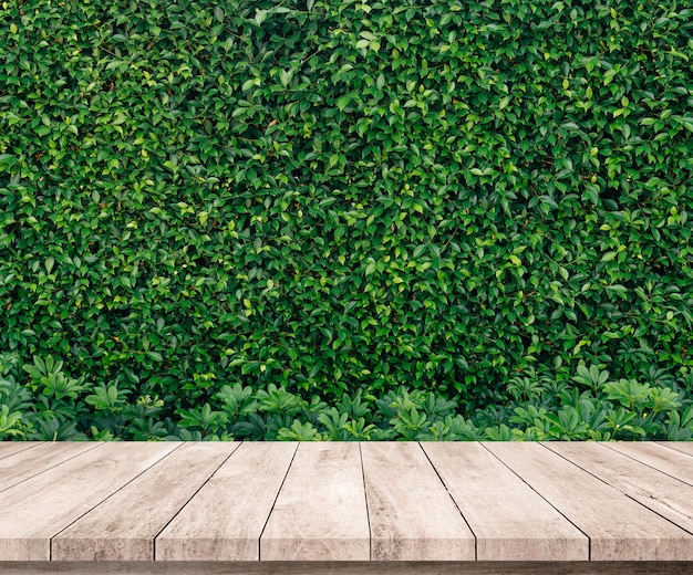 Alte Holzplanke mit abstraktem natürlichem grünem Blatthintergrund für Produktanzeige